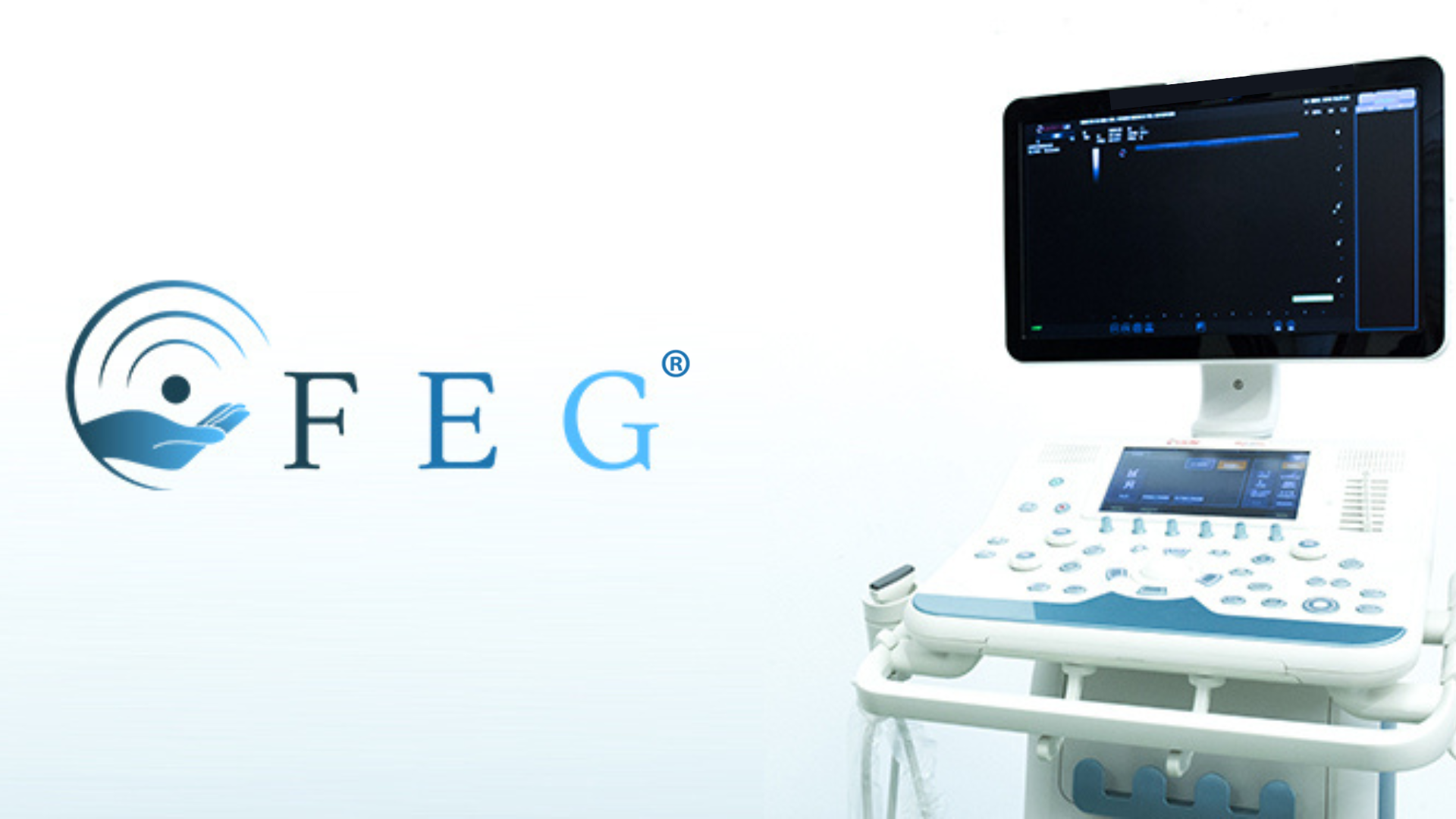 FEG - Fisioterapia Ecoguidata